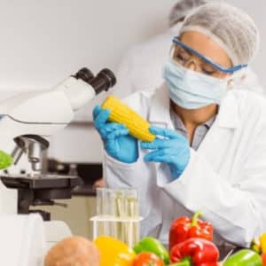 Persona con microscopio analizando unos vegetales